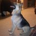 Mike Nealey - Facebook