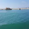Michael Neeb - @michaelneeb48 - TikTok