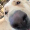 MichaelRants? - @michael_neighbor - TikTok