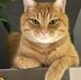 Michael Neiller - Facebook