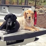 Nellie - @michael_nelson1044 - Instagram
