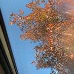 @michaelnestell - Instagram