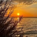 Michael Neuner - @michael.neuner - Instagram