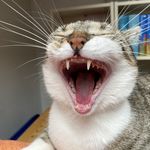 Michael Neuroth - @neuroth_michael - Instagram