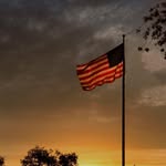 Michael Newbern - @michael_newbern - Instagram