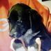 Michael Newbold - Facebook