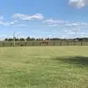 Michael Nyland - @michael.nyland - TikTok