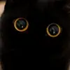 Michael Ng - @michael.ng - TikTok