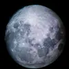 michael_ng_🪐 - @michael_ng_ - TikTok