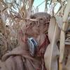 Michael Nickless Wie - @michaelnicklesswi - TikTok