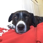 Michael Nickson - @michaelnickson425 - Instagram
