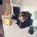 Isabelle Michaela Niederberger - Facebook