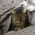 Michael Niederberger - Facebook