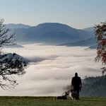 Michael Niederer - @niedererm - Instagram