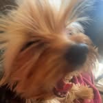 Mike - @michael_nilson22 - Instagram