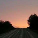 Michael Nims - @nmike88 - Instagram