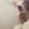 nimsmichael - @nimsmichael - TikTok