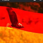 Michael Nobel - @micha_elnobel - Instagram