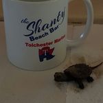 Michael Nordhoff - @nordhoff4184 - Instagram