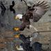 Michael Noseff - Facebook