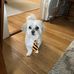 Michael Nottage - Facebook