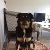 michel.oberlin - @michel.oberlin - TikTok