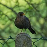Michael Oberstaller - @michaeloberstaller - Instagram