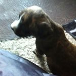 Caleb Michael obrecht - @buckeyeboy360 - Instagram