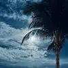michaeloconnell - @michaeloconnell - TikTok