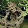 michael odonnell - @michael.odonnell75 - TikTok