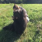 Michael Oehler - @michael.oehler.7165 - Instagram