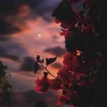 Michael Oelke - @michael.oelke - Instagram