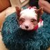 Michael Oertel - Facebook