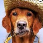 Michael Oertel - @mi.oertel - Instagram