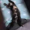 michaeloertel - @michaeloertel361 - TikTok