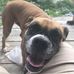 Michael Ogletree - Facebook