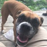 Michael Ogletree - @goober198511 - Instagram