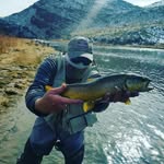 Michael Okey - @msokey - Instagram