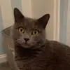 Michael Oldham - @michael.oldham1 - TikTok