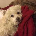 Michael Oleson - @michaelaoleson - Instagram