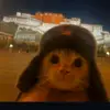 Michael Olmedo - @michaelolmedo0 - TikTok