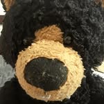 Michael Ombrellino - @mikee1234444 - Instagram