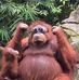 Michael Orr - Facebook