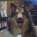 Michael Orsi - Facebook