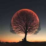 Michael Osika - @osikamichael - Instagram
