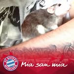 Michael Over - @michael.over.524 - Instagram