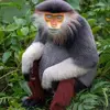 Michael Ozuna - @michaelozuna17 - TikTok