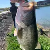 michaelpachy02 - @michaelpachy - TikTok