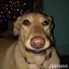 Michael Palen - @mikeypalen - TikTok