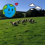 Michael Palfreyman - Facebook